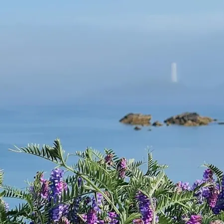 Doonmore Hotel, Bar & Restaurant Hotel Inishbofin