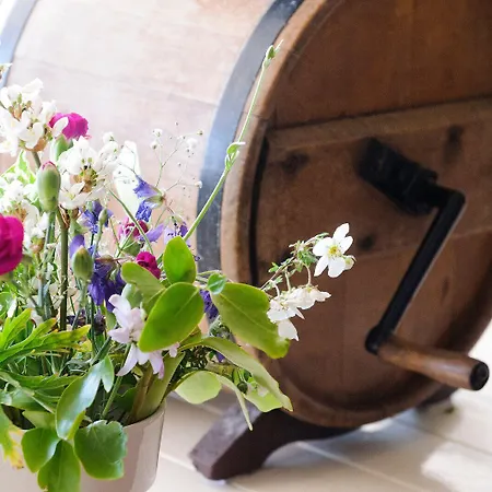 Hotel Doonmore Hotel, Bar & Restaurant Inishbofin