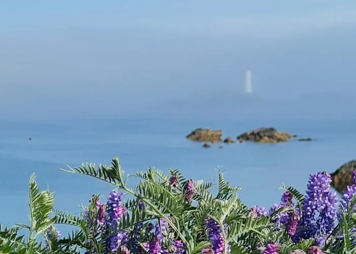 Doonmore Hotel, Bar & Restaurant Hotell Inishbofin