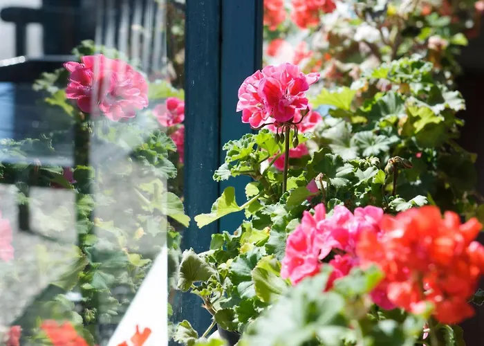 Doonmore Hotel, Bar & Restaurant Hotel